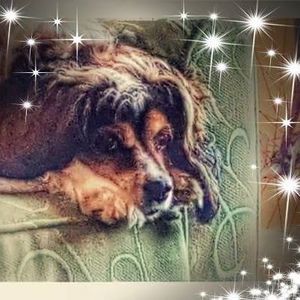 Meet your Posher, Marlene